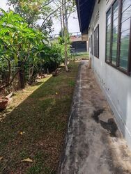 Frankel Estate (D15), Detached #549350971